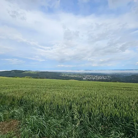 Ruwertal Pur, Roemer, Kultur Und Seen-erlebnis Apartamento *